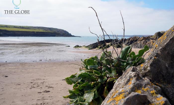 West Angle Bay - sand, rockpools, cafe